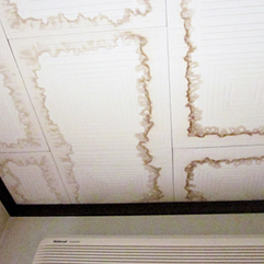 天井の壁紙にシミがついている